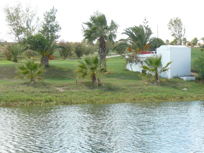 p1190676